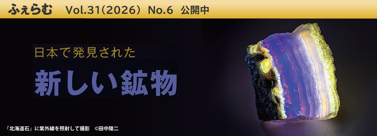 ふぇらむ Vol.31（2026）No.6 公開中